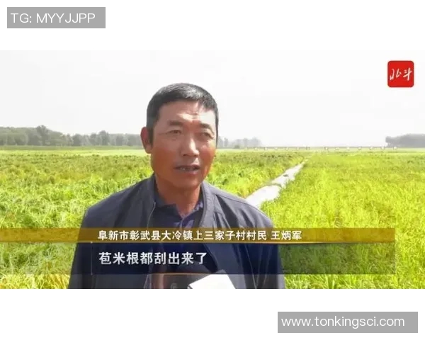 质疑声中奋起直追绿军双探花期待迎来全新蜕变之路